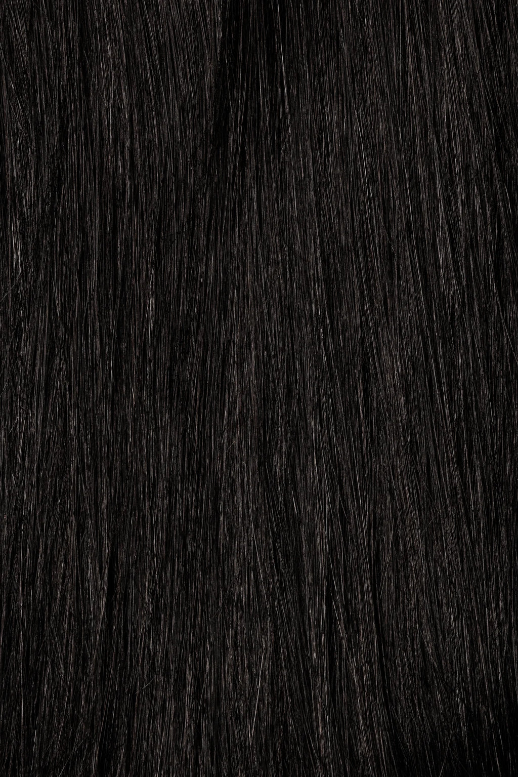 Raw Vietnemese Straight Hair